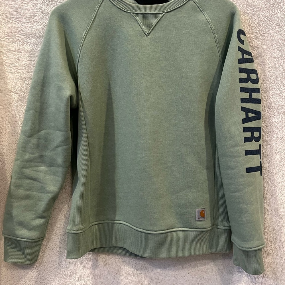 Carhartt Men's Sage Crewneck Sweater